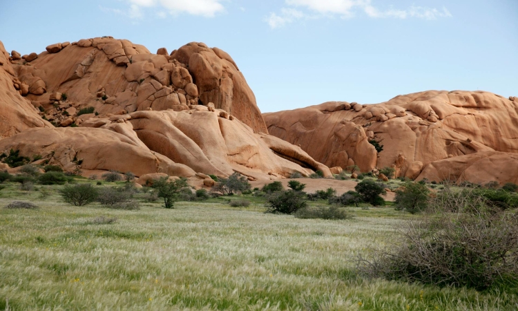 Biodiversity, Ecosystem & Geography of Spitzkoppe